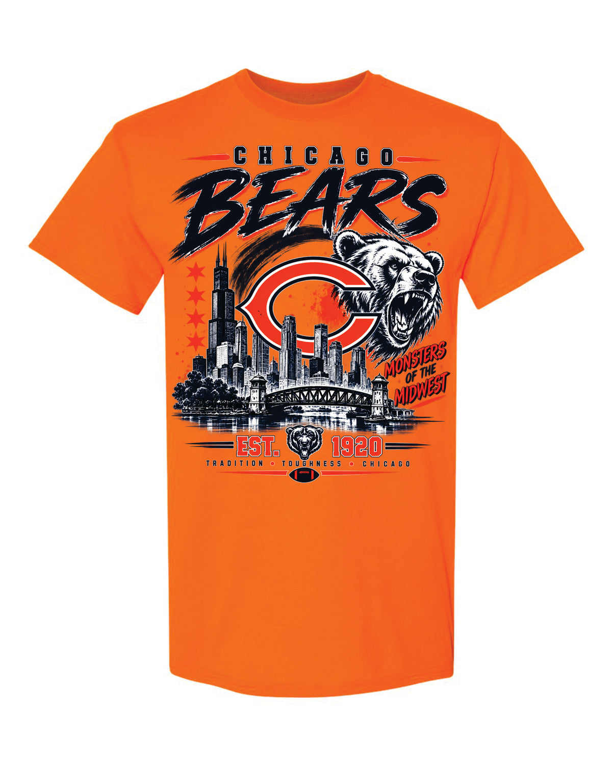 Bears Stadium Love Tshirt