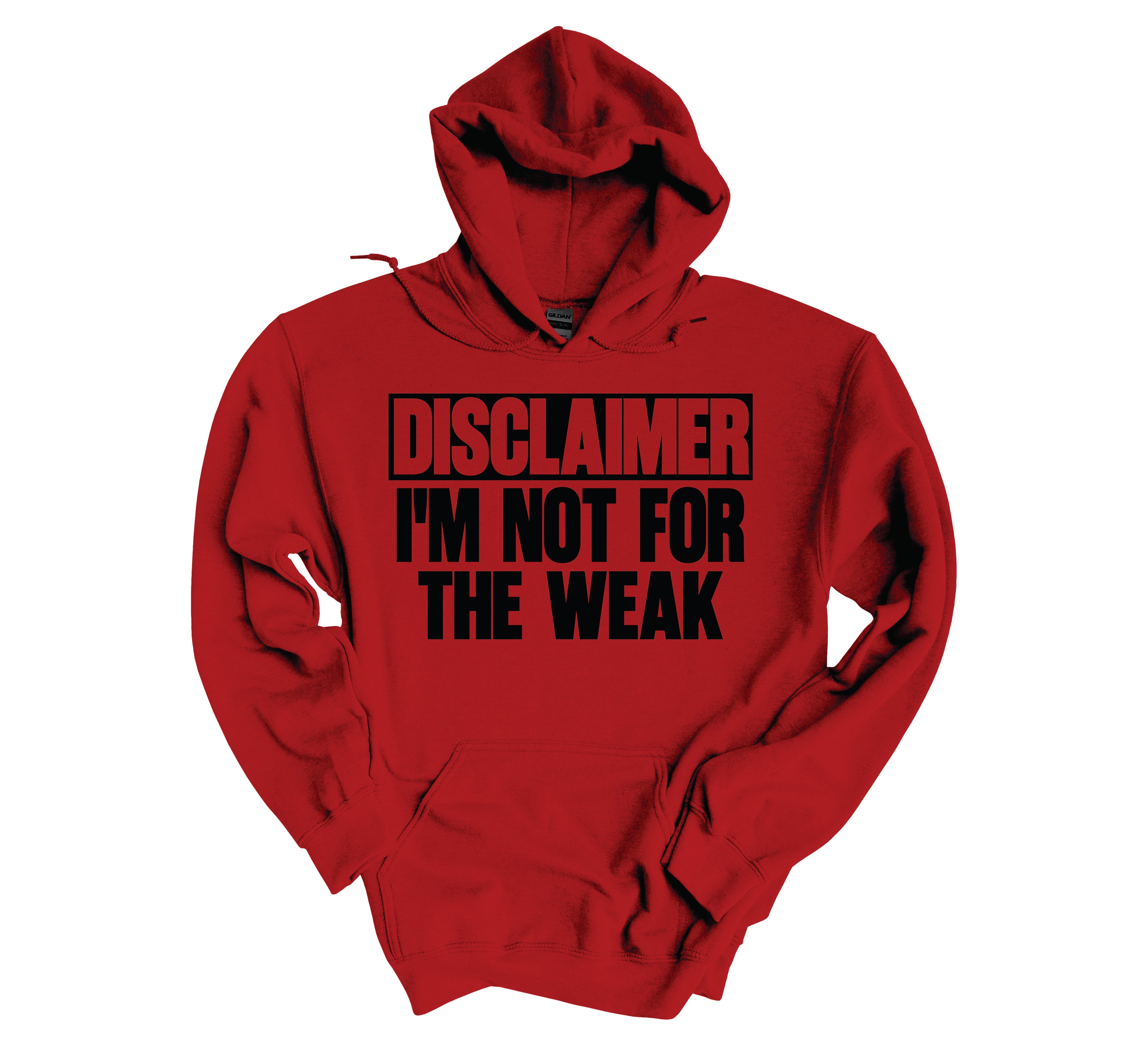 Disclaimer Hoodie image 2